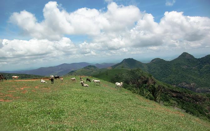 So sah der Startplatz vor dem Ausbau zum PWC aus. Jetzt ist er noch viel großzügiger