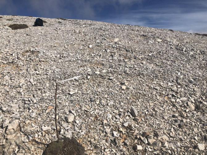 Startplatz Dochí vor der Steinreinigungsaktion