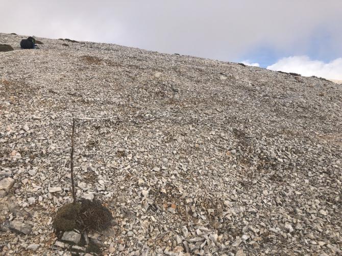 Startplatz Dochí nach gehabter Reinigung - alle grösseren Steine rausgeschmissen...