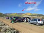 Paragliding Fluggebiet Nordamerika » USA » Colorado,Villa Grove,Blick vom (möglichen) LP zum Whale Hill