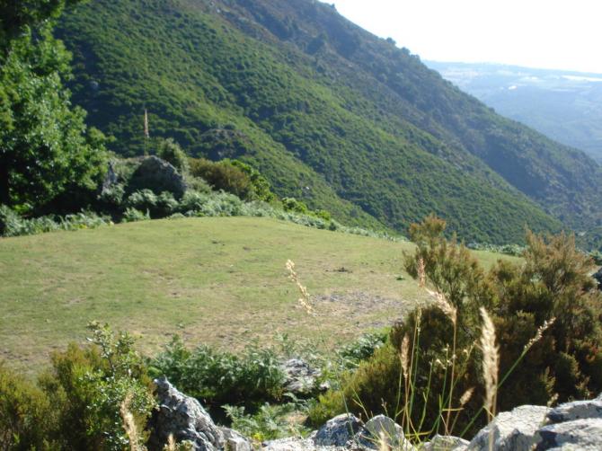 Startplatz Ost, Sehr gut angelegt und ausreichend mit Windsäcken versehen.