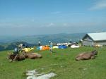 Paragliding Fluggebiet Europa » Schweiz » Appenzell Innerrhoden,Ebenalp,ebenalp im sommer 2004