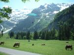 Paragliding Fluggebiet Europa » Schweiz » Obwalden,Fürenalp - Engelberg,Talwindsystem beachten!
Auf Fußgänger und Kühe (beides freilaufend)  achten.