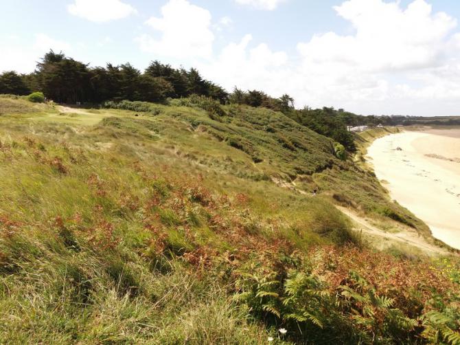 Starthang mit Landung am Strand. Aug. 2017