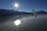 Paragliding Fluggebiet Europa » Schweiz » Bern,Niederhorn,Foto: Alain Zenger