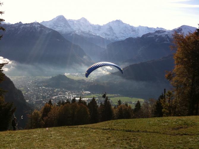 Herbstimmung im Amisbühl, mit Blick zu Jungfrauregion und auf Interlaken