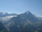 Paragliding Fluggebiet Europa » Schweiz » Bern,Grindelwald First - Pfingstegg - Waldspitz,Vor dem Eiger
