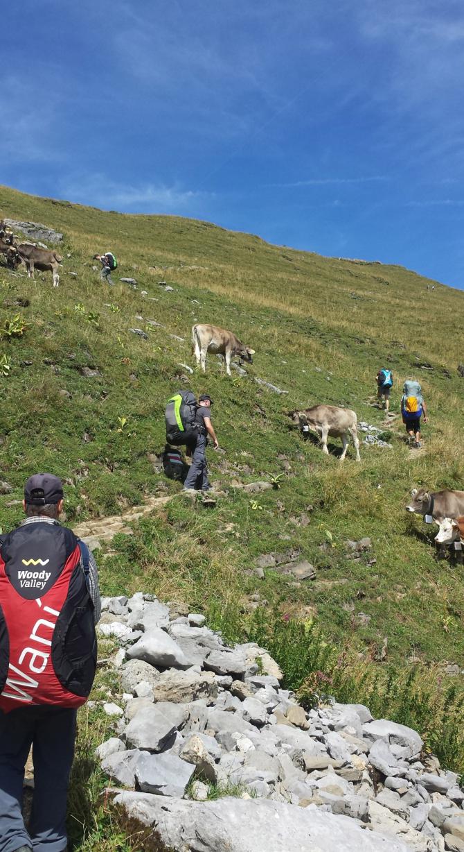 Aufstieg zum Gummengrat
