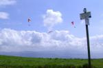 Paragliding Fluggebiet Europa » Frankreich » Elsass,Petit Drumont,Auf dem Weg zum Startplatz am Drumont