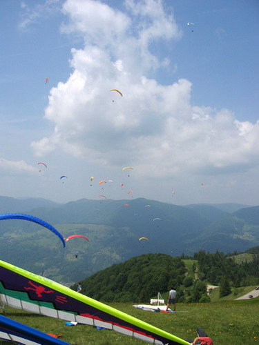 Foto: Harald Möglich