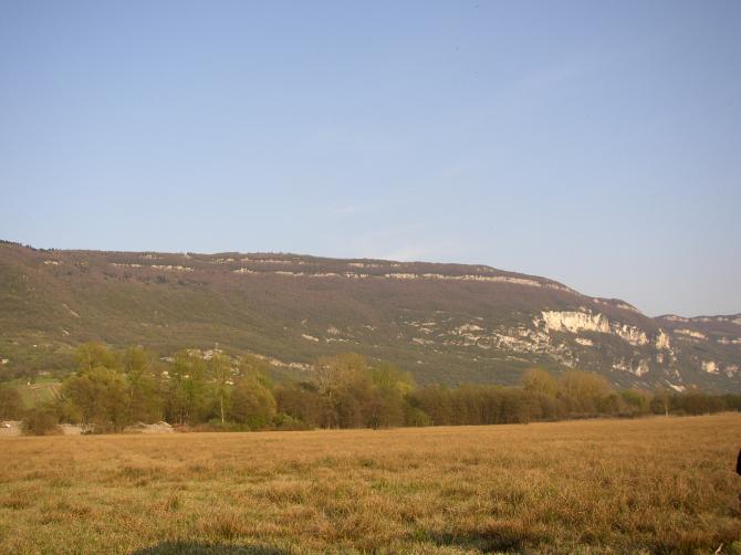 Landewiese - Blick auf den Berg