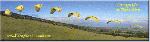 Paragliding Flugschule Nordamerika » USA » Hawaii,Proflyght Hawaii Paragliding,
