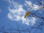 Paragliding Flugschule ,,Aprilstimmung am Blomberg