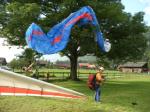Paragliding Flugschule ,,Nicht alle treffen den Kürbis!
Petsch im Baum.
Foto by Vaudee