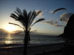 Paragliding Reise Bericht Europa Portugal ,Madeira - Eine Insel im Januar,Sonnenuntergangsflug, Landung unter Palmen am Meer, in der Bar daneben die ersehnten Getränke, was kann man sich noch mehr wünschen...